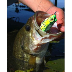 5PCS Topwater Frog Fishing Lure