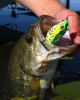 5PCS Topwater Frog Fishing Lure