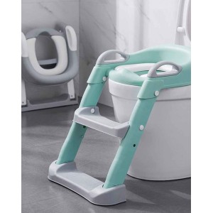 Kids Toilet Training Seat with Steps