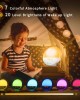 Sunrise Wake Up Alarm Clock
