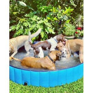 5' Portable Dog Swimming Pool