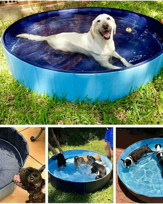 5' Portable Dog Swimming Pool