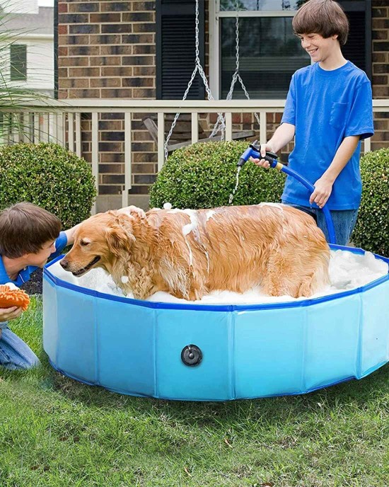 5' Portable Dog Swimming Pool