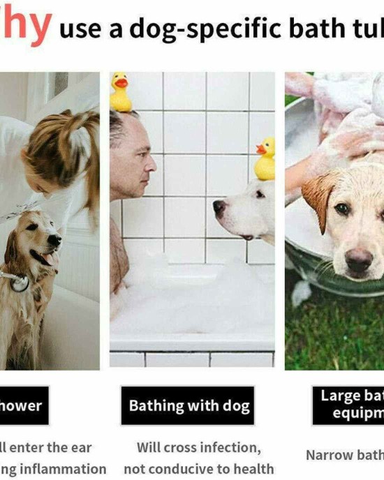 5' Portable Dog Swimming Pool