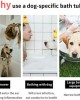5' Portable Dog Swimming Pool