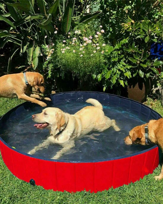 5' Portable Dog Swimming Pool