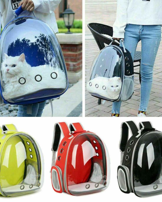 Backpack Carrier For Cats & Small Dogs