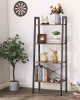 4 Tier Ladder Bookshelf