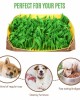 Snuffle Mat for Dogs