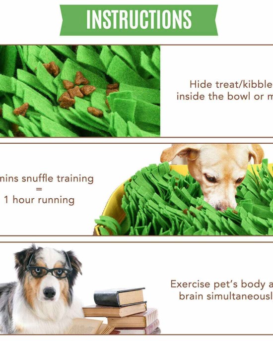 Snuffle Mat for Dogs