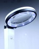 Foldable LED Magnifying Lamp