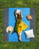 Sand Free Beach Blanket