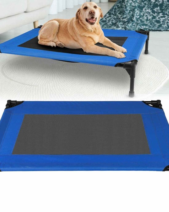Elevated Dog Bed