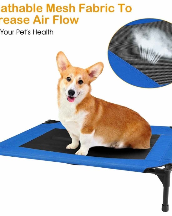 Elevated Dog Bed