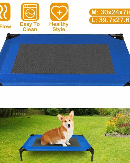 Elevated Dog Bed