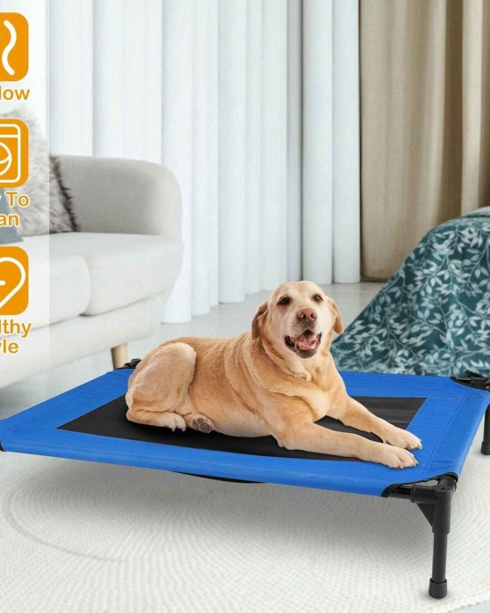 Elevated Dog Bed