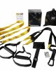 Suspension Training Straps