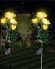 Beautiful Rose Solar Flower Garden Lights