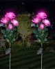 Beautiful Rose Solar Flower Garden Lights