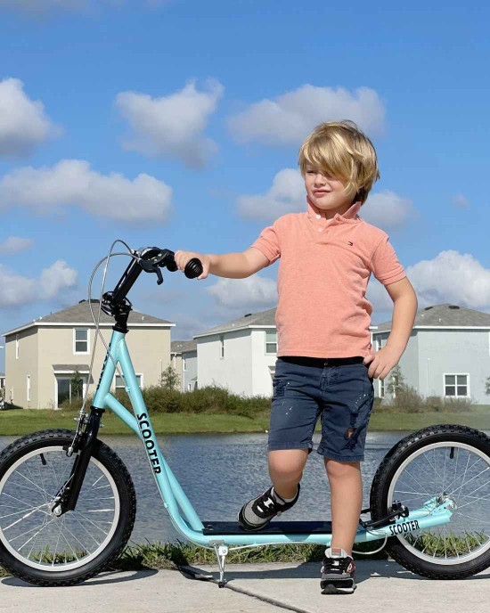 Kids Big Wheel Kick Scooter