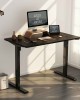 Height Adjustable Electric Standing Desk
