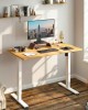 Height Adjustable Electric Standing Desk