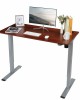 Height Adjustable Electric Standing Desk