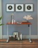 Height Adjustable Electric Standing Desk