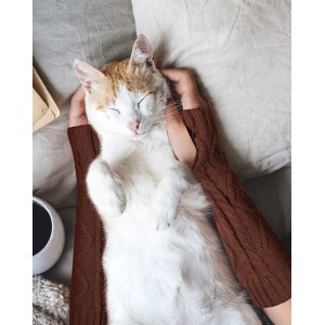 4 Pairs Winter Knit Warm Long Glove Thumbhole Fingerless Gloves Arm Warmers Glove for Women